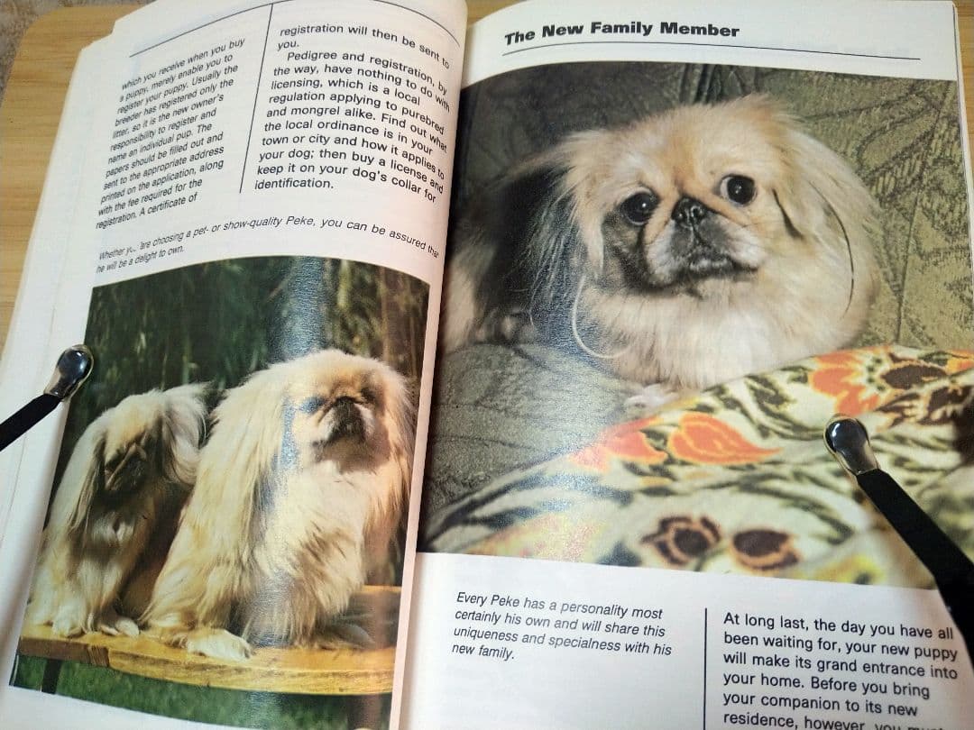ペキニーズ書籍4冊セット 本 洋書 写真 pekingese PEKINGESE