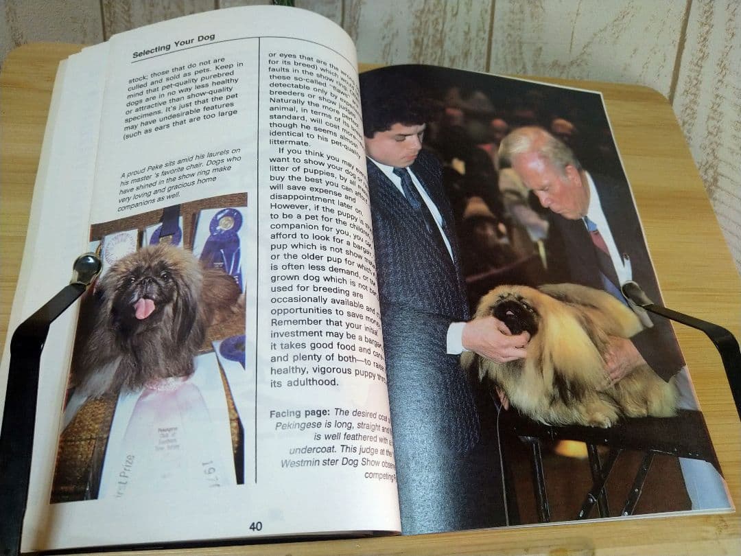 ペキニーズ書籍4冊セット 本 洋書 写真 pekingese PEKINGESE