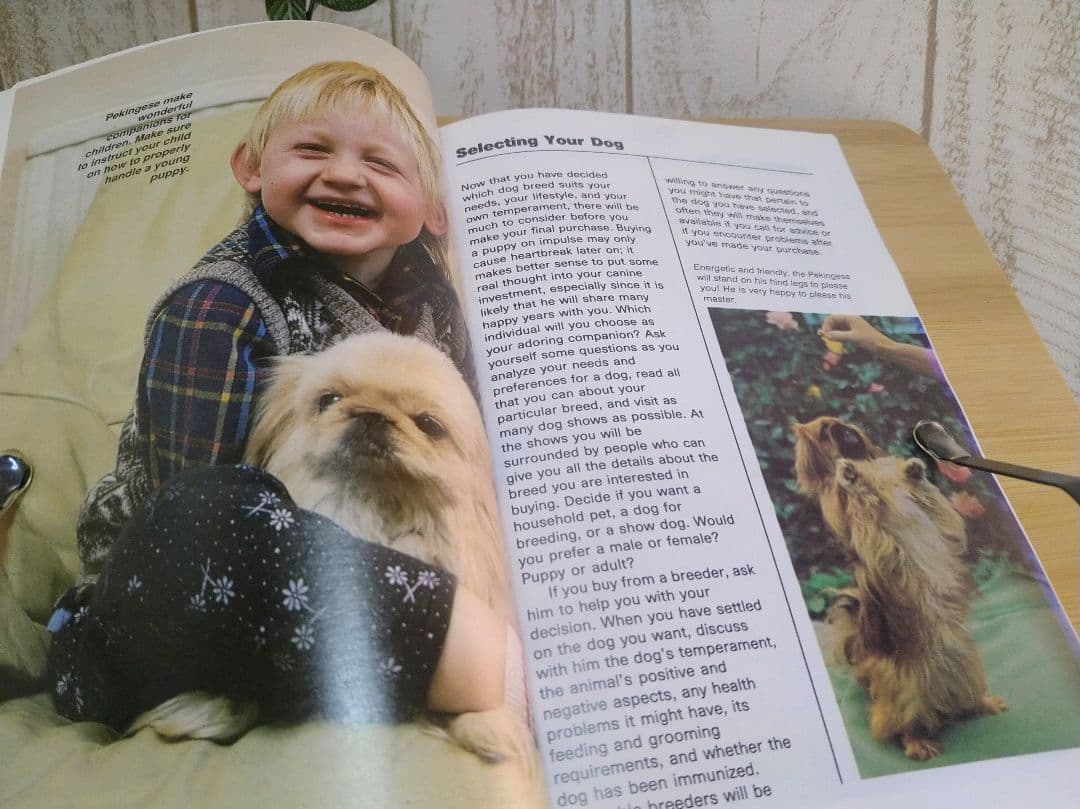 ペキニーズ書籍4冊セット 本 洋書 写真 pekingese PEKINGESE