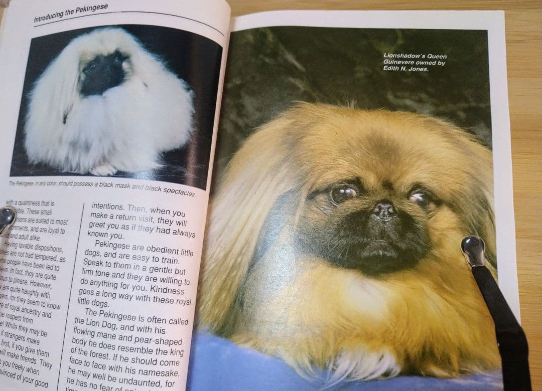 ペキニーズ書籍4冊セット 本 洋書 写真 pekingese PEKINGESE