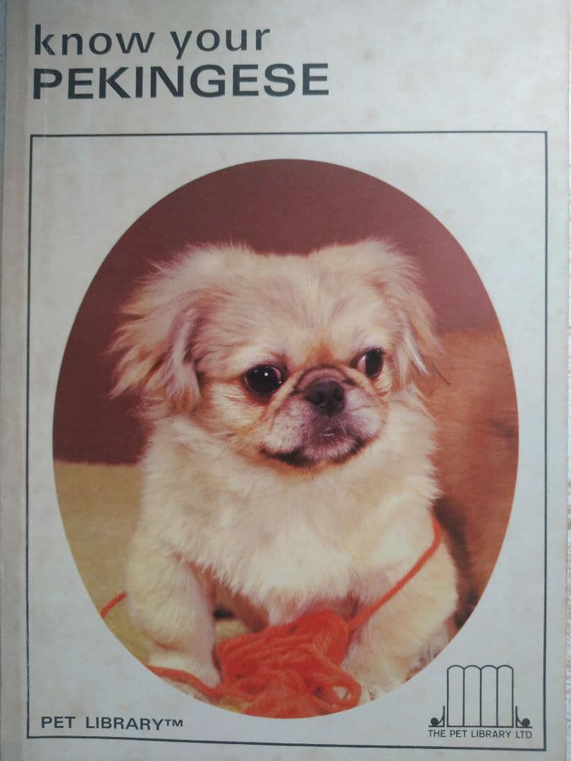 ペキニーズ書籍4冊セット 本 洋書 写真 pekingese PEKINGESE