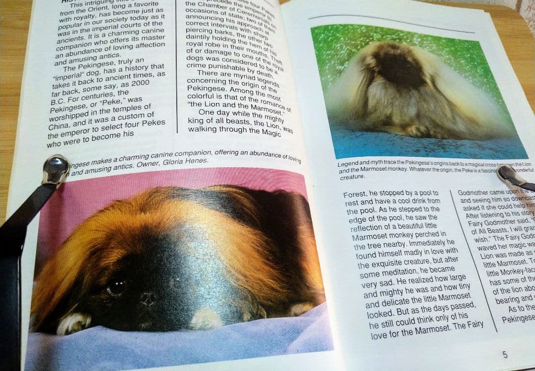 ペキニーズ書籍4冊セット 本 洋書 写真 pekingese PEKINGESE