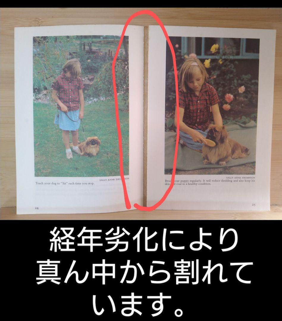 ペキニーズ書籍4冊セット 本 洋書 写真 pekingese PEKINGESE