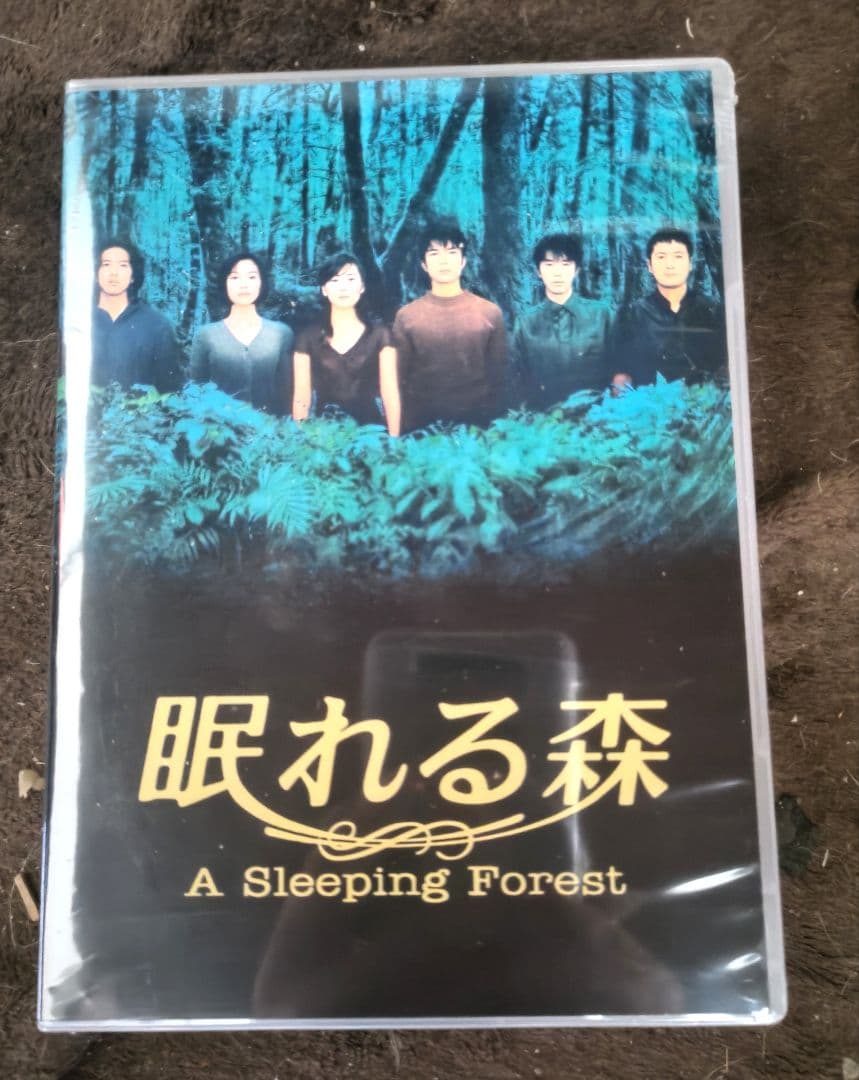 【残り3枚！】【眠れる森 】DVD〈6枚組〉中山美穂　木村拓【新品未開封】