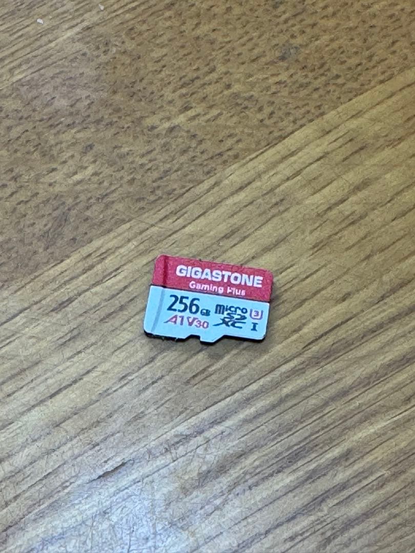 め*る様 Switch Switch Lite本体 ハイラルエディション 知恵の