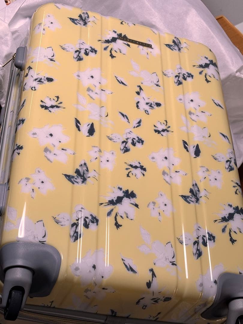 新品未使用マーキュリーデュオのキャリーケース