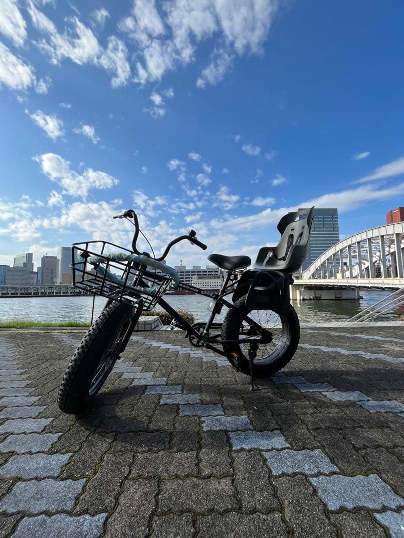 春セール【ファットバイク】BRONX 20インチ