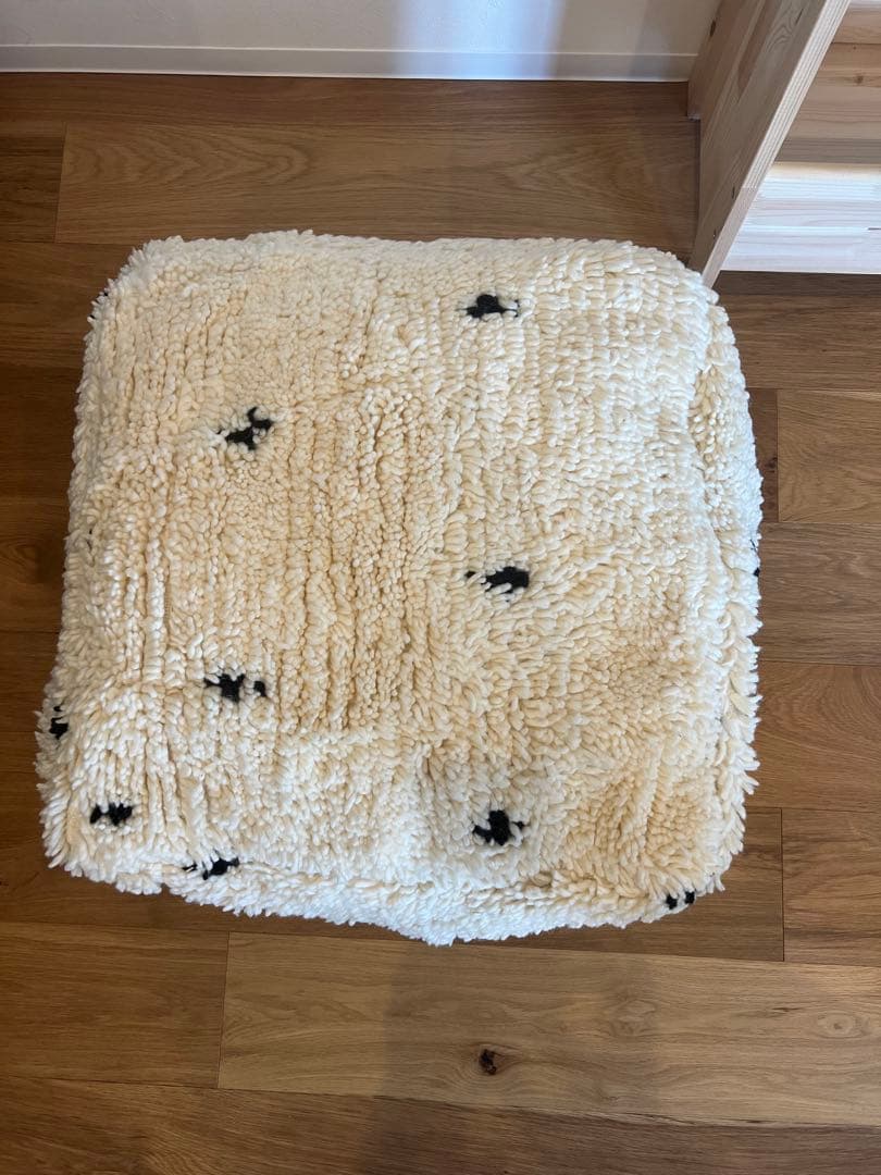 モロッカンプフ（ベニワレンプフ）