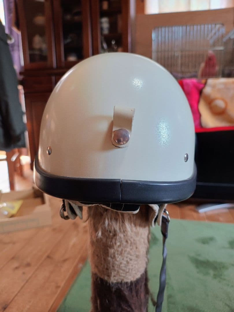 セキュリティ・セーフティ Mia