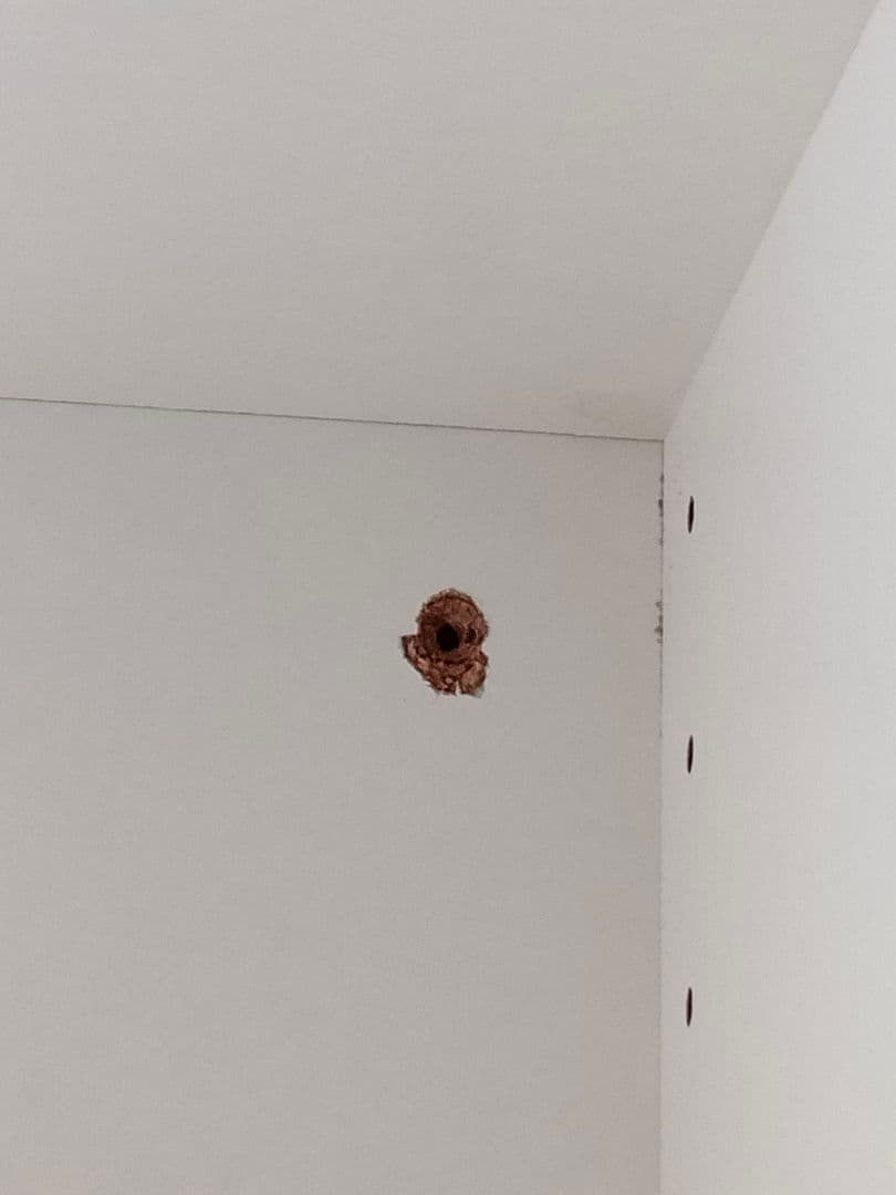 靴箱 ダークブラウン 2ドアシューズ ボックス(EKM03-SB2)