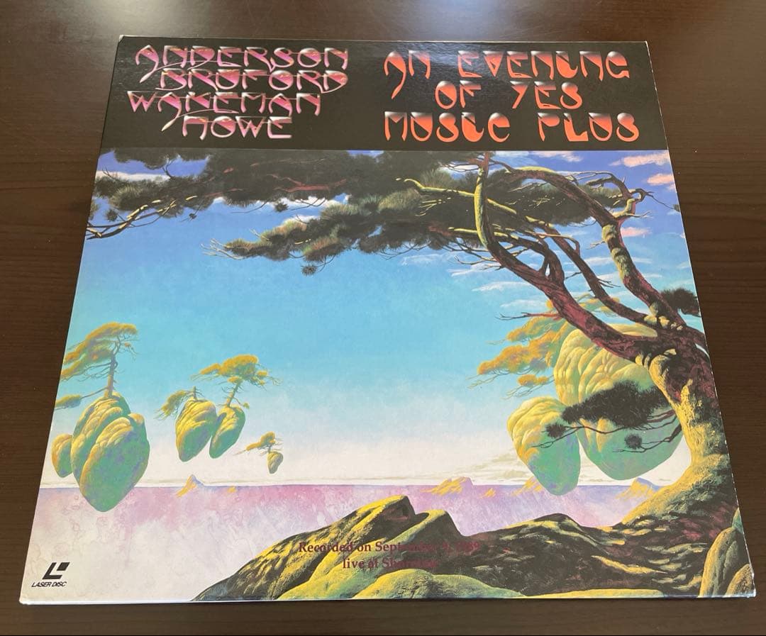 プログレ ヘビメタ サザンロック LD セット 8枚 アイアンメイデン