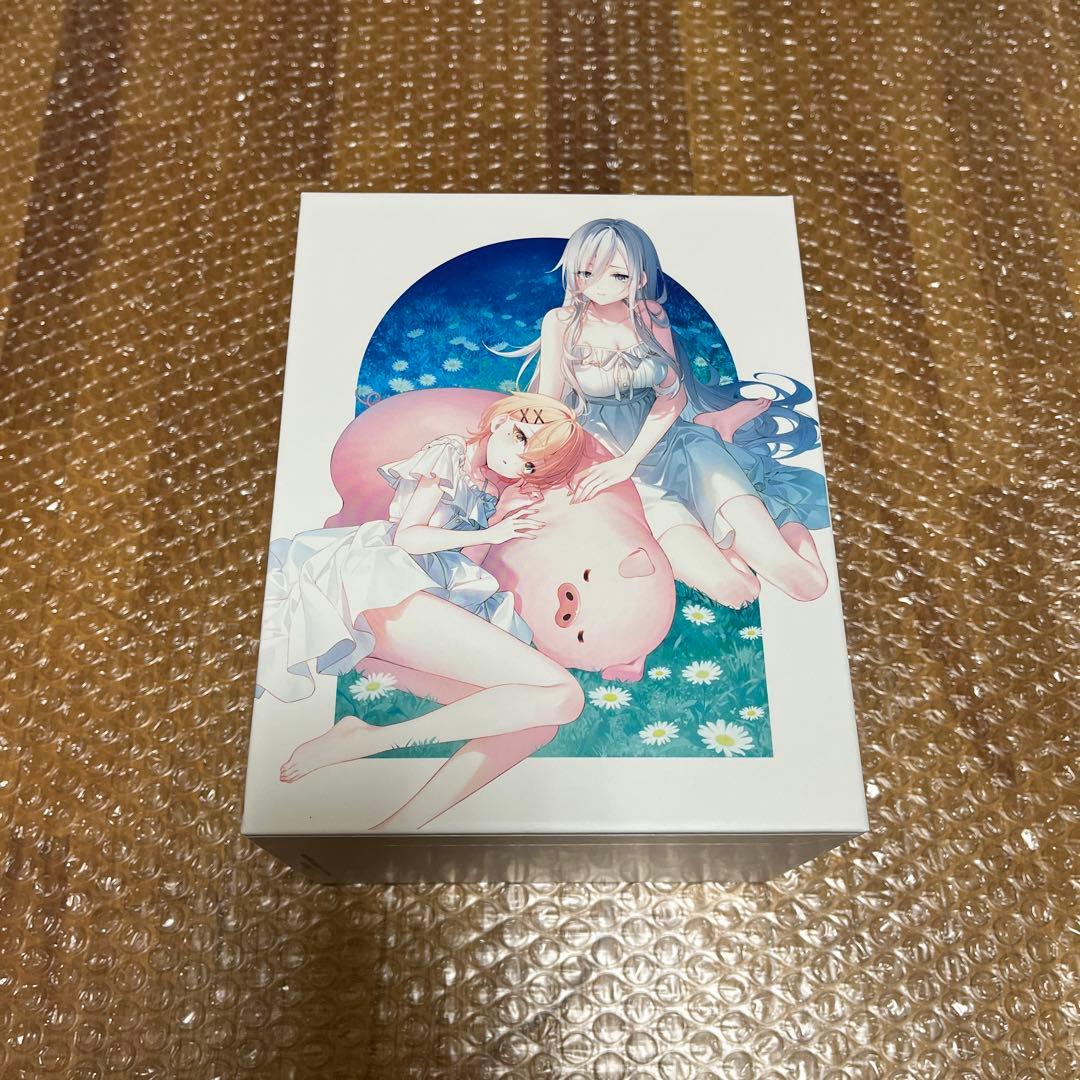 豚のレバーは加熱しろ 豚レバ DVD 全6巻セット 全巻収納BOX付き