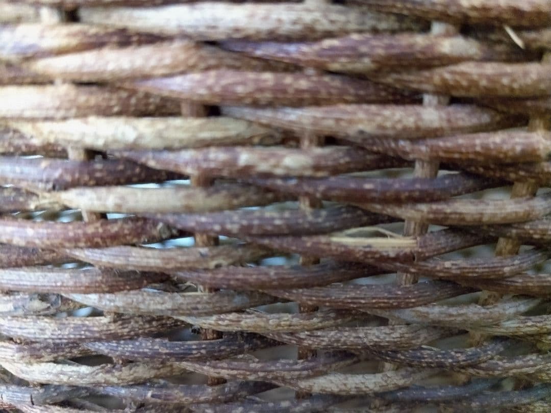 青森　宮本工芸　あけびカゴバッグ