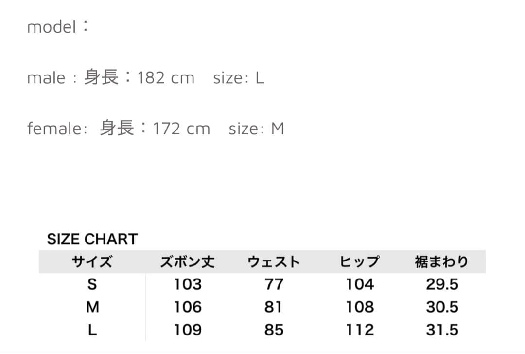 パンツ SAIRENSSEI Double pleated pants