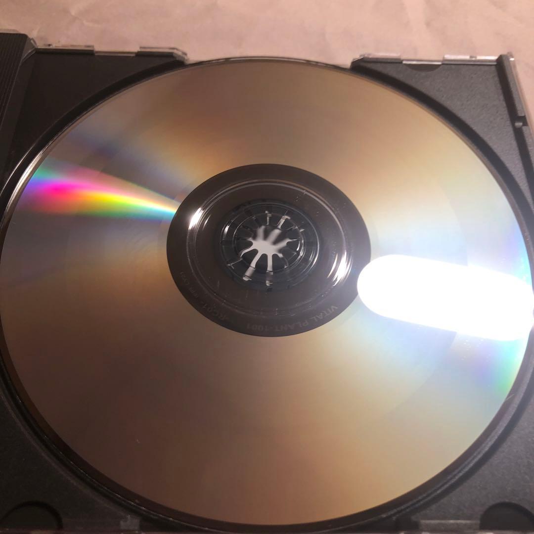 ガラGara 神楽 CD 邦パンク Sandinista!