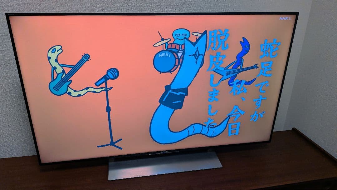 SONY BRAVIA KJ-49X9000E 49インチ