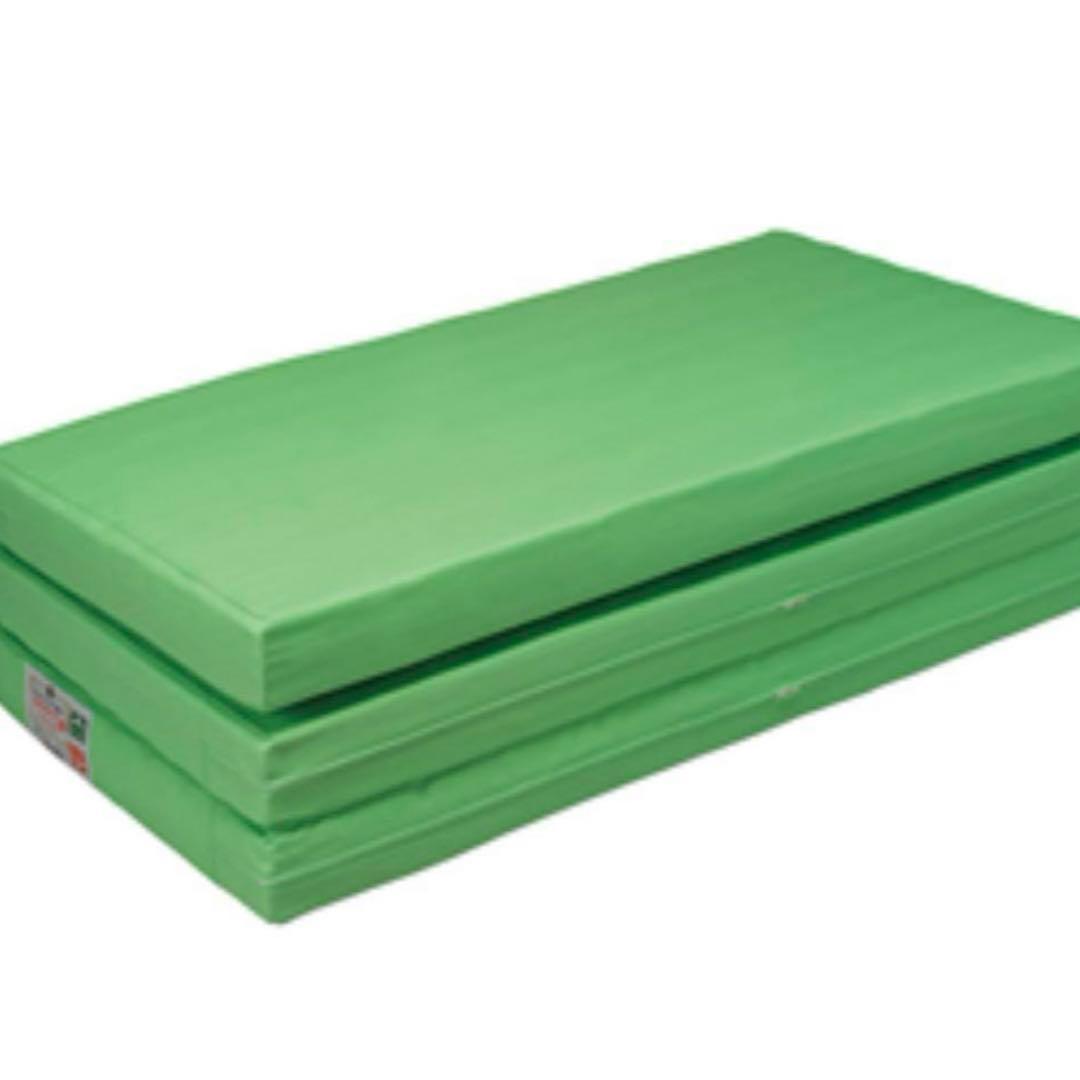 【新品】ヘルスウェーブ ゴールドすややか　DCX　姿勢矯正 健康寝具