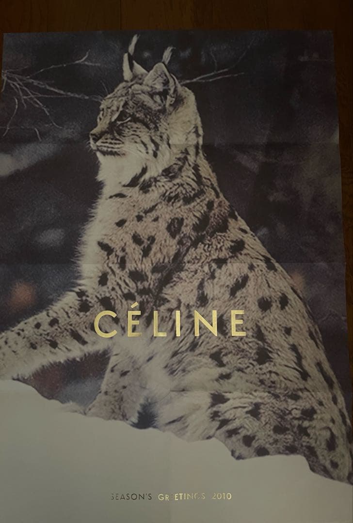 CELINEセリーヌポスター4枚CÉLINE フィービー期 カタログ 10冊