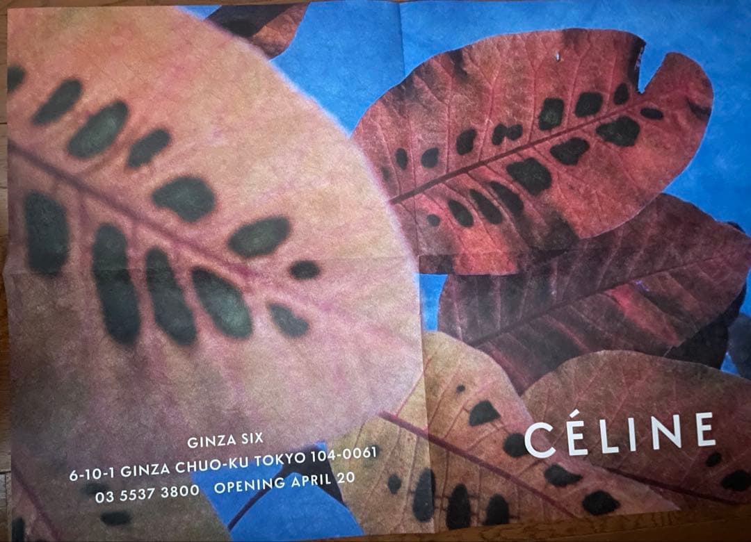 CELINEセリーヌポスター4枚CÉLINE フィービー期 カタログ 10冊