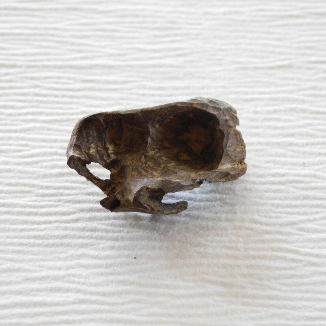 ◆ 「古渡暹羅 泥沈香」　約3.6g　ベトナム産　シャム沈香　　　◇ 香木　伽羅