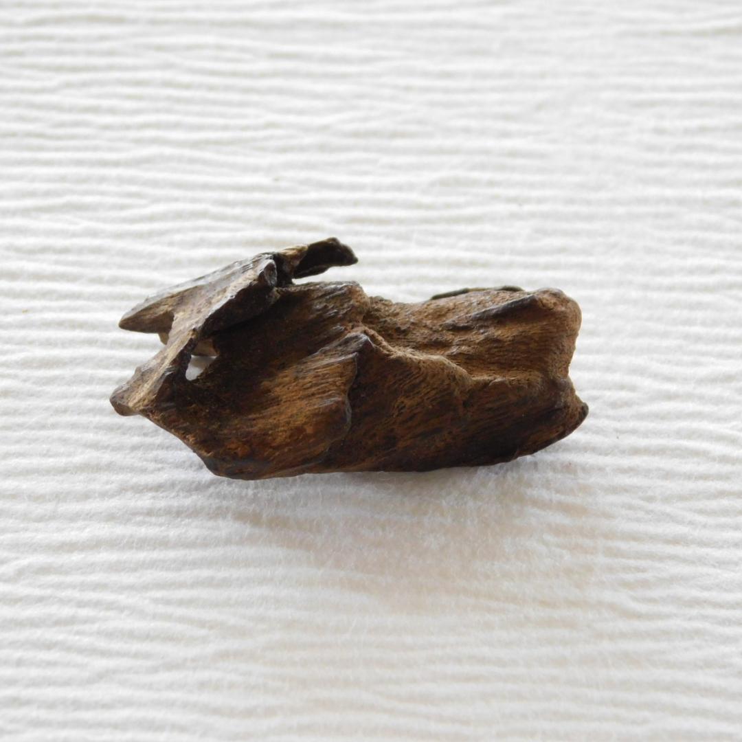 ◆ 「古渡暹羅 泥沈香」　約3.6g　ベトナム産　シャム沈香　　　◇ 香木　伽羅