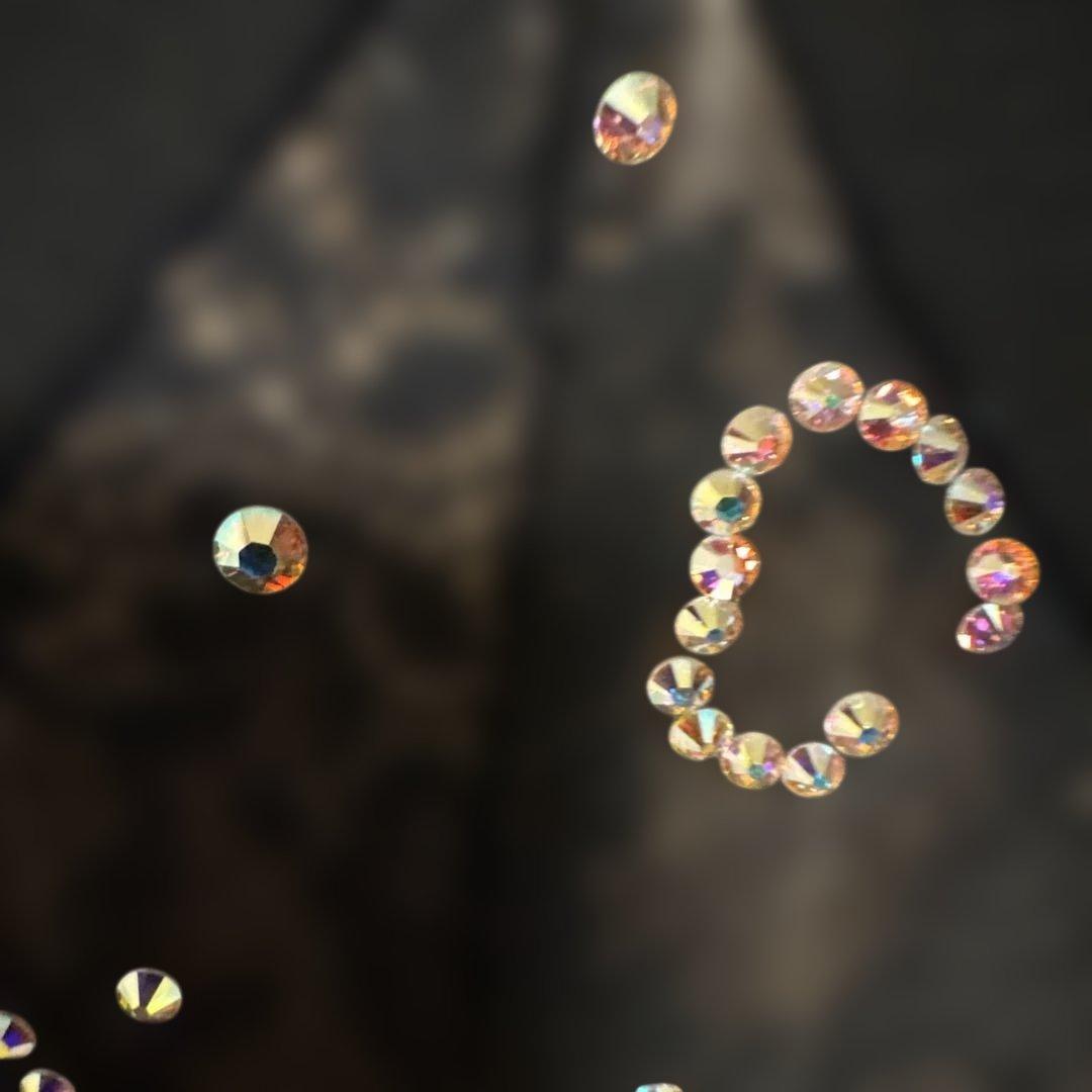 最終クリスマスSALE22222-15000チャコット　M 社交ダンスドレス