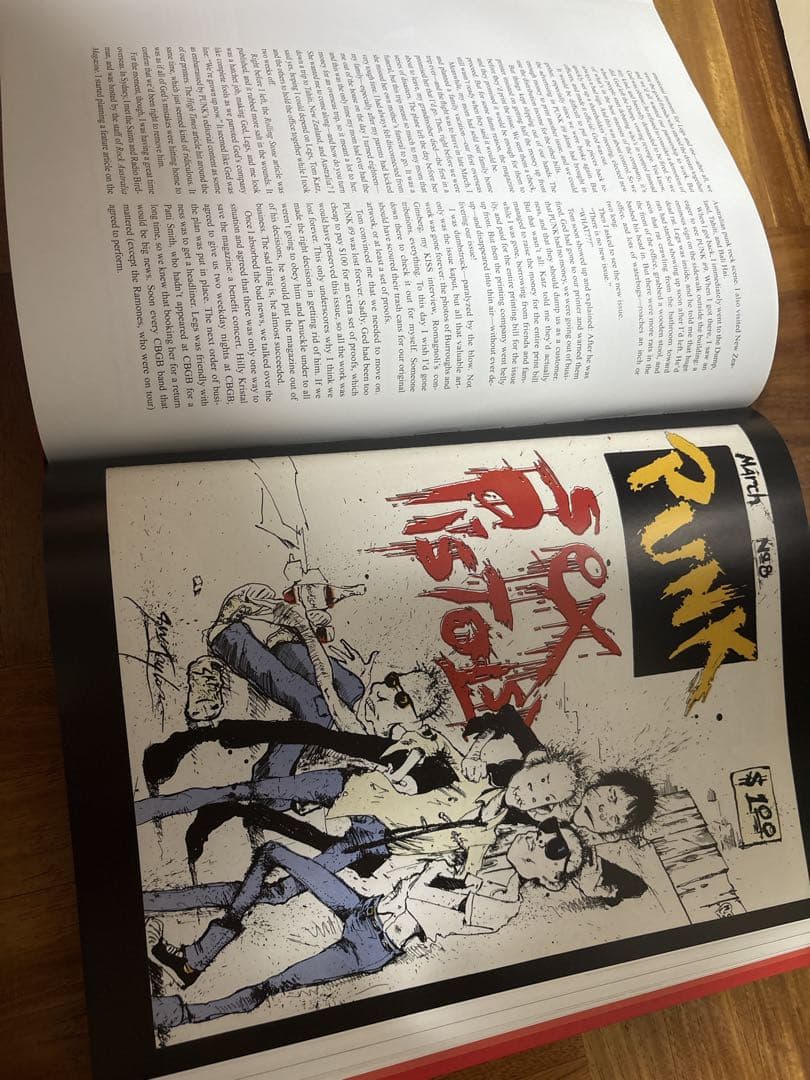 【超レア本】THE BEST OF PUNK MAGAZINE