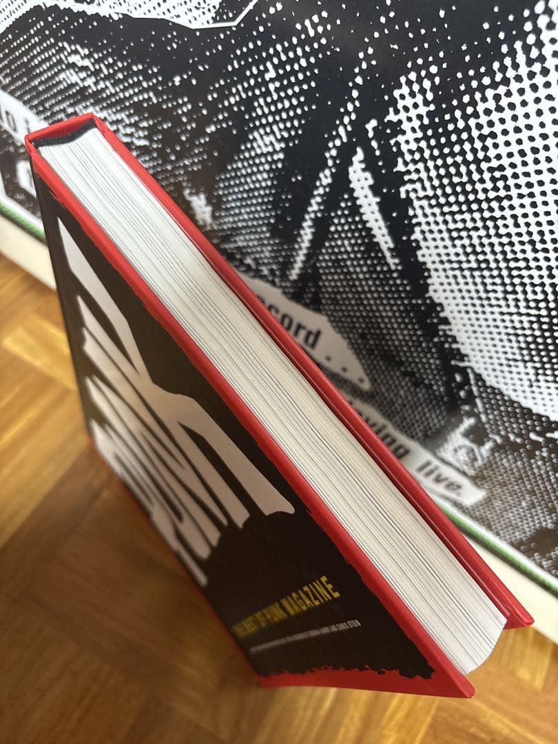 【超レア本】THE BEST OF PUNK MAGAZINE