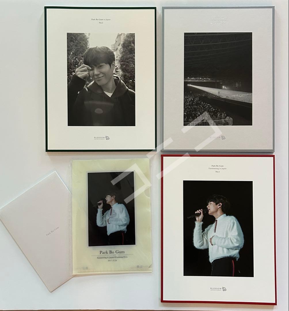 Park Bo Gum パク・ボゴム ファンミーティング DVD クリスマスイブ