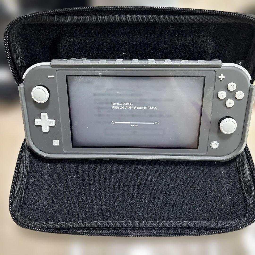 Nintendo Switch Lite カバー付　動作確認OK