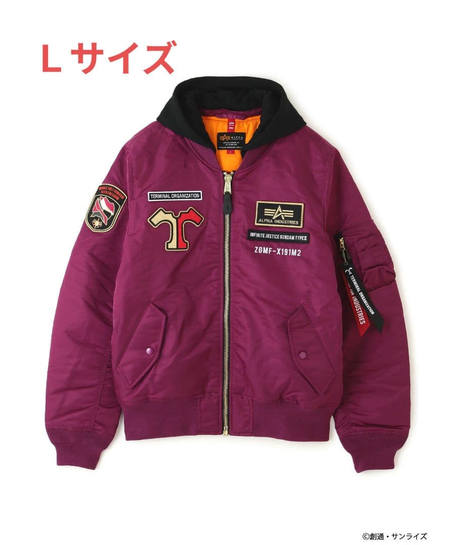 STRICT-G MA-1 アスラン L alpha ガンダムSEED