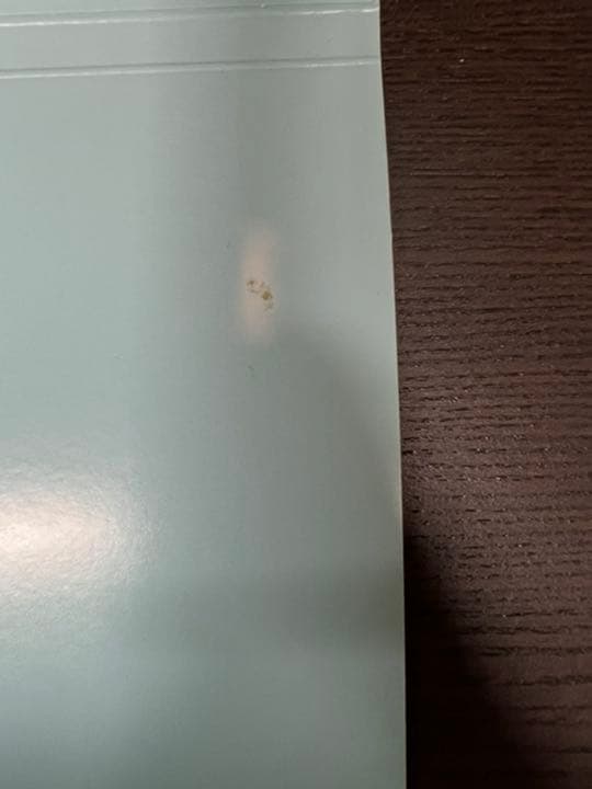 【公式】BTS 2018 Happy Ever AfterDVD トレカ テテ