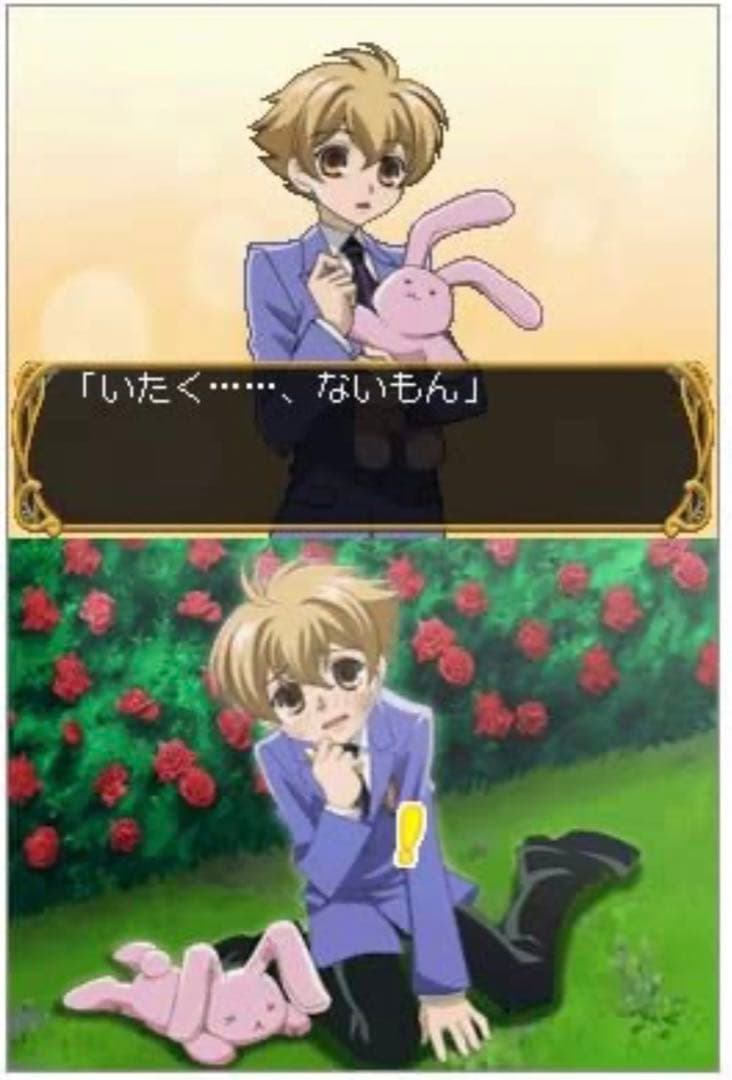 レア　フルボイス　桜蘭高校ホスト部 DS アイディアファクトリー　カセットソフト