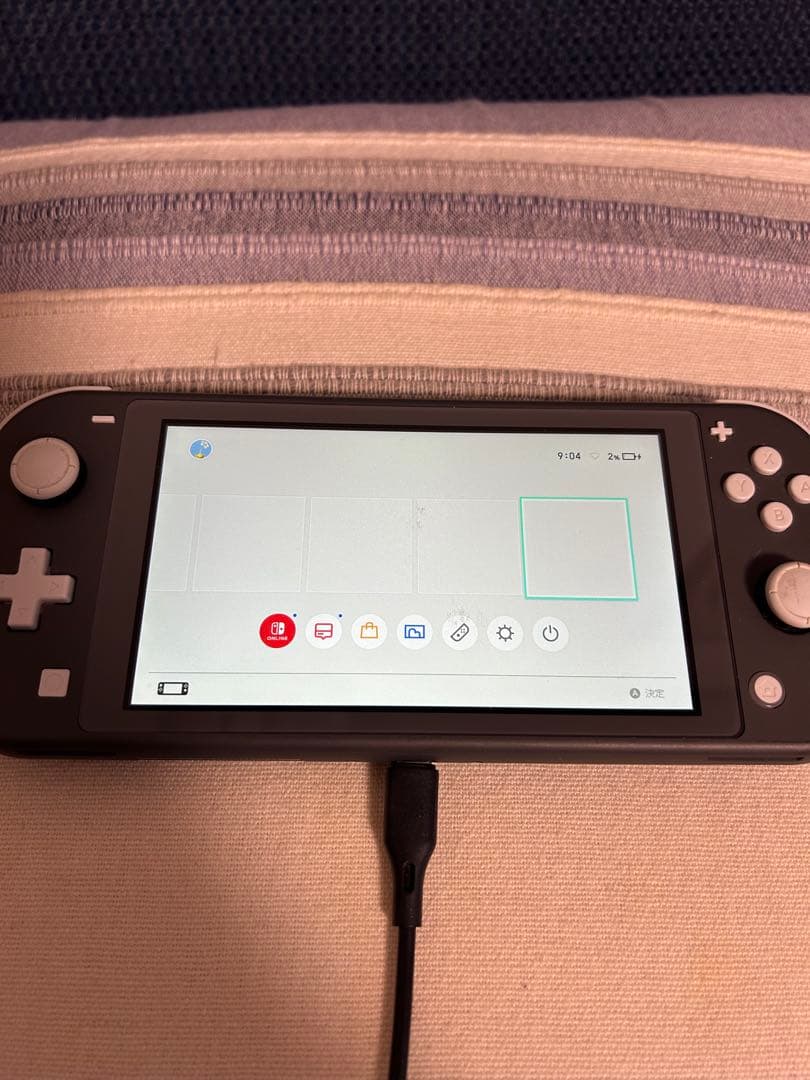 Nintendo Switch Lite 本体　訳あり