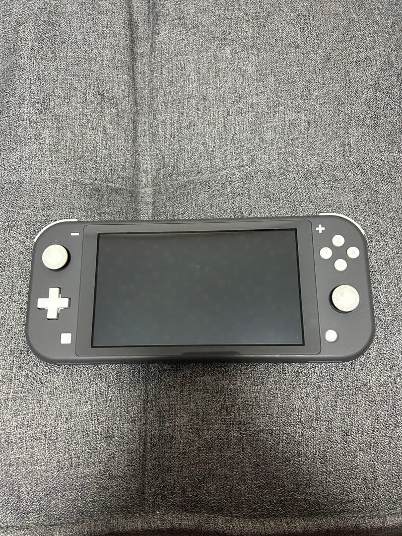 Nintendo Switch Lite 本体　訳あり