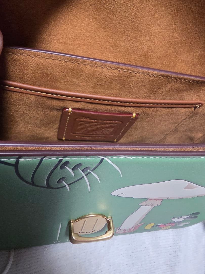 お値下げ❗美品COACH x Disney ショルダーバッグ グリーン