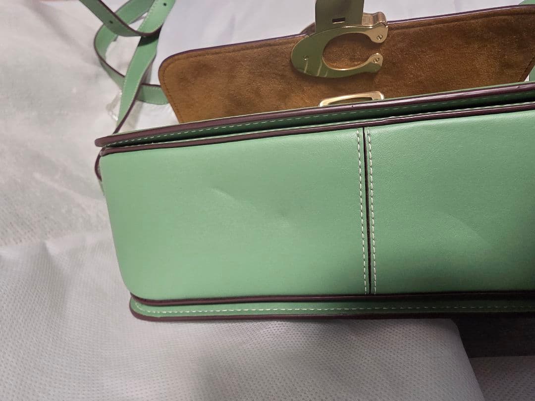 お値下げ❗美品COACH x Disney ショルダーバッグ グリーン