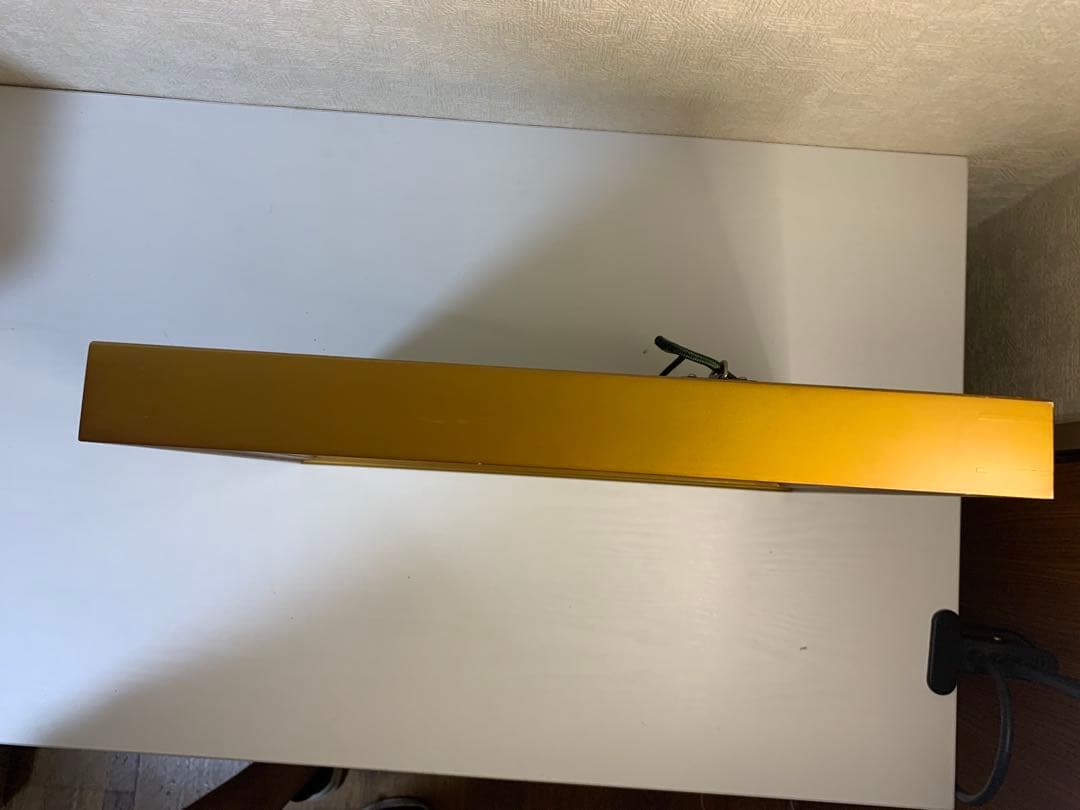 小田部　正邦　桃花