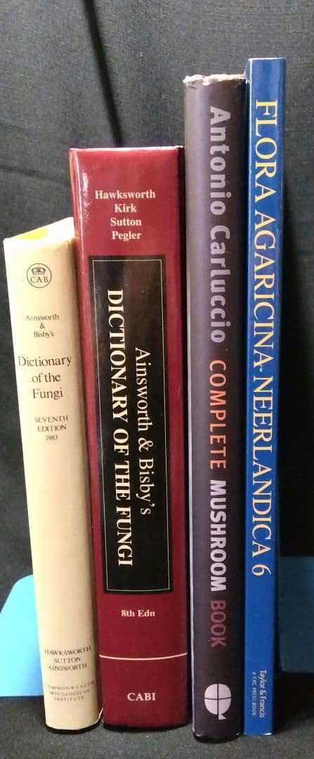 キノコ関係洋書　4冊セット