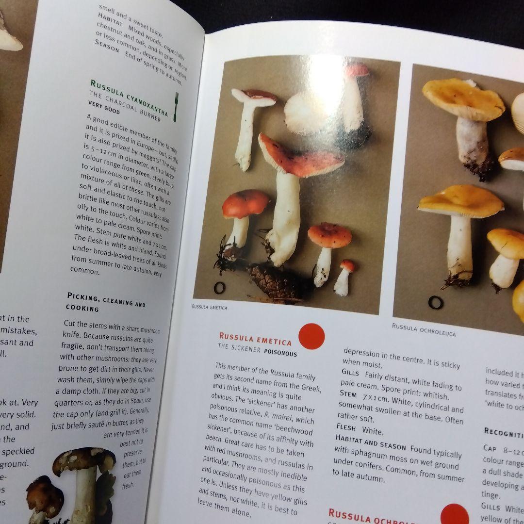 キノコ関係洋書　4冊セット