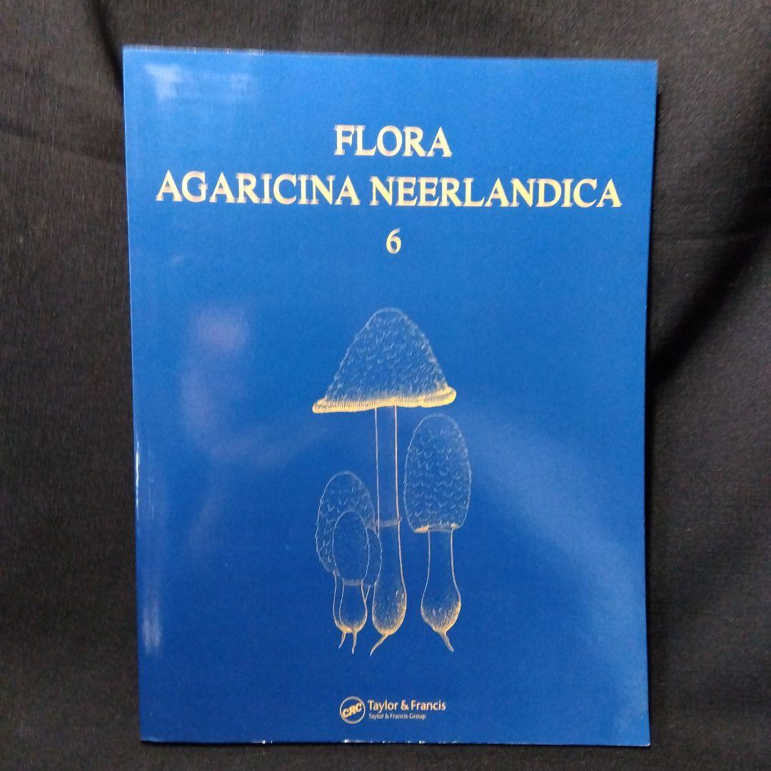 キノコ関係洋書　4冊セット