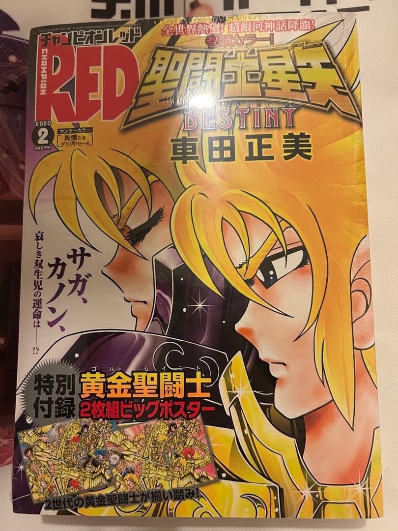 チャンピオンRED 2020年2月号　聖闘士星矢　ポスター　書店特典　未開封