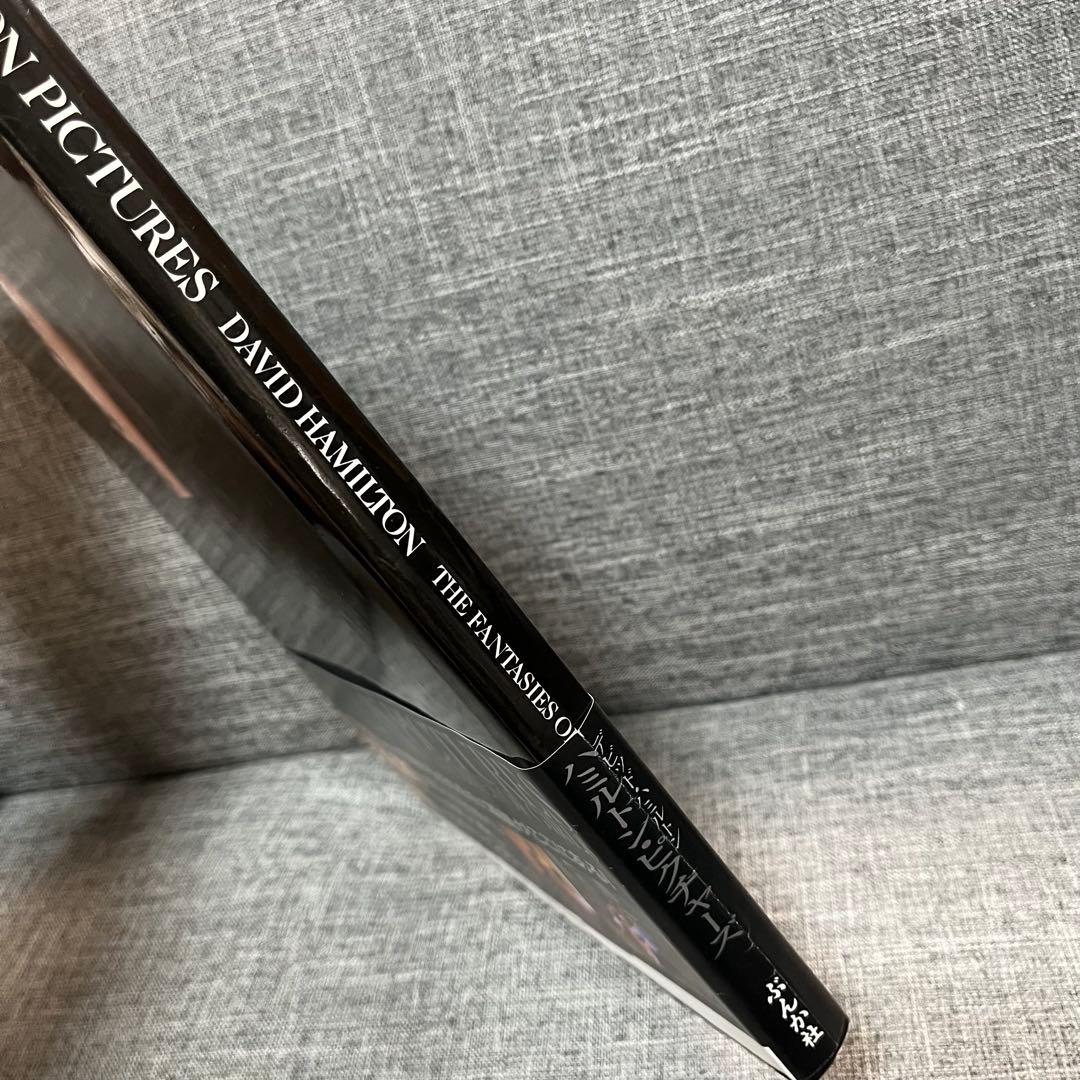 David Hamilton Pictures 帯付き デビッド・ハミルトン