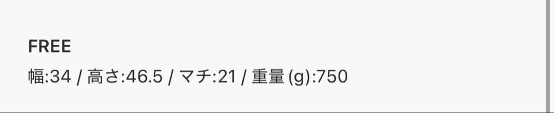 thisisneverthat リュック ネバザ SP Backpack 29