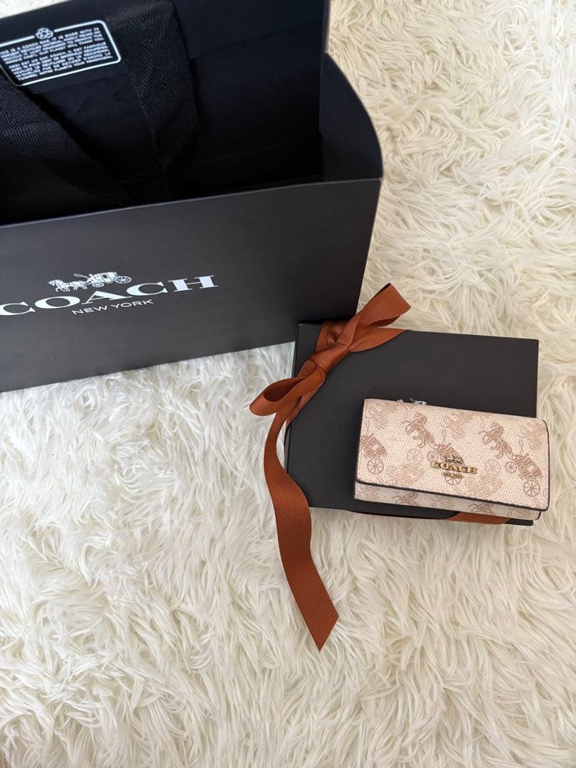 COACH キャリッジプリント キーケース