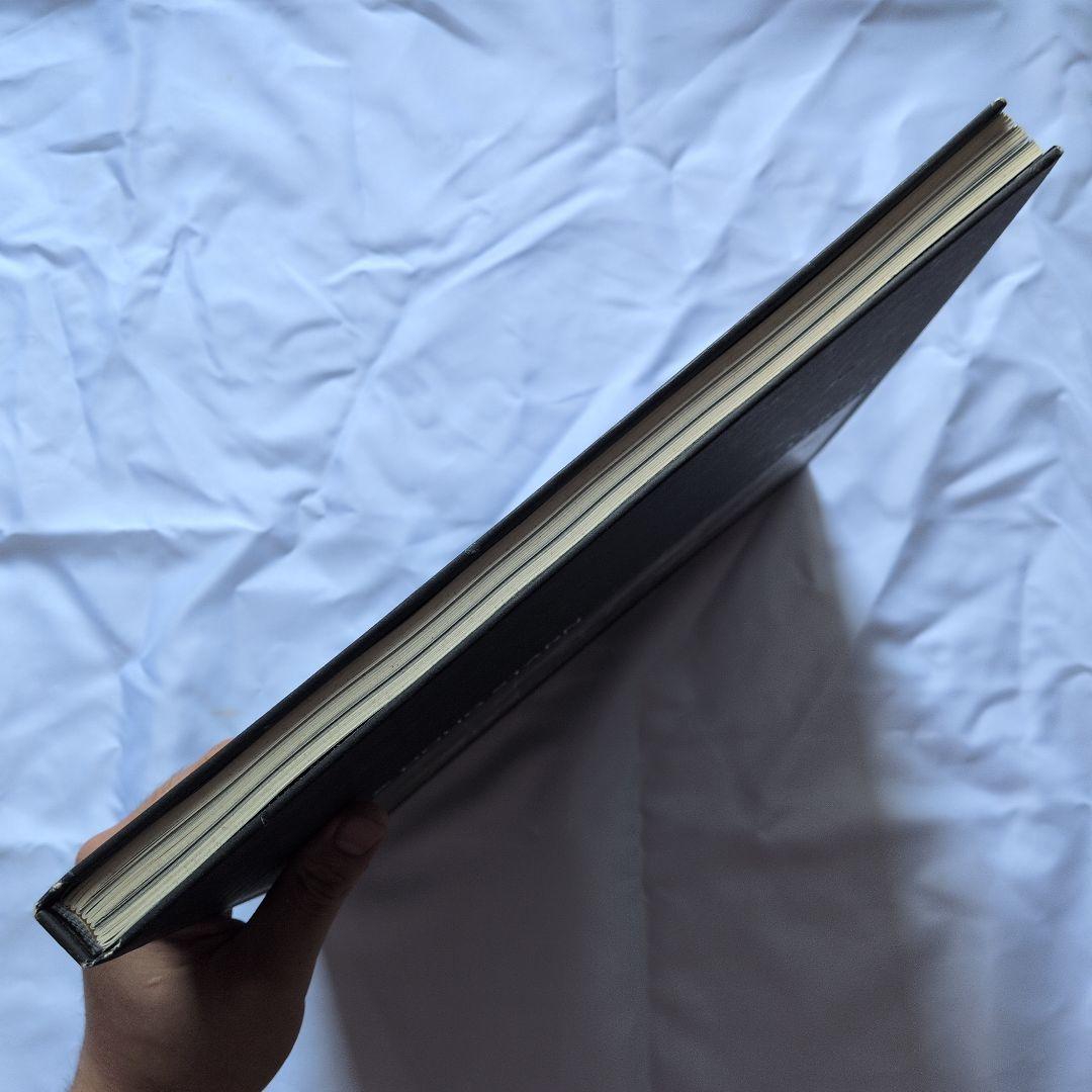 アート・デザイン・音楽 MIKE & DOUG STARN ATTRACTED TO LIGHT SET