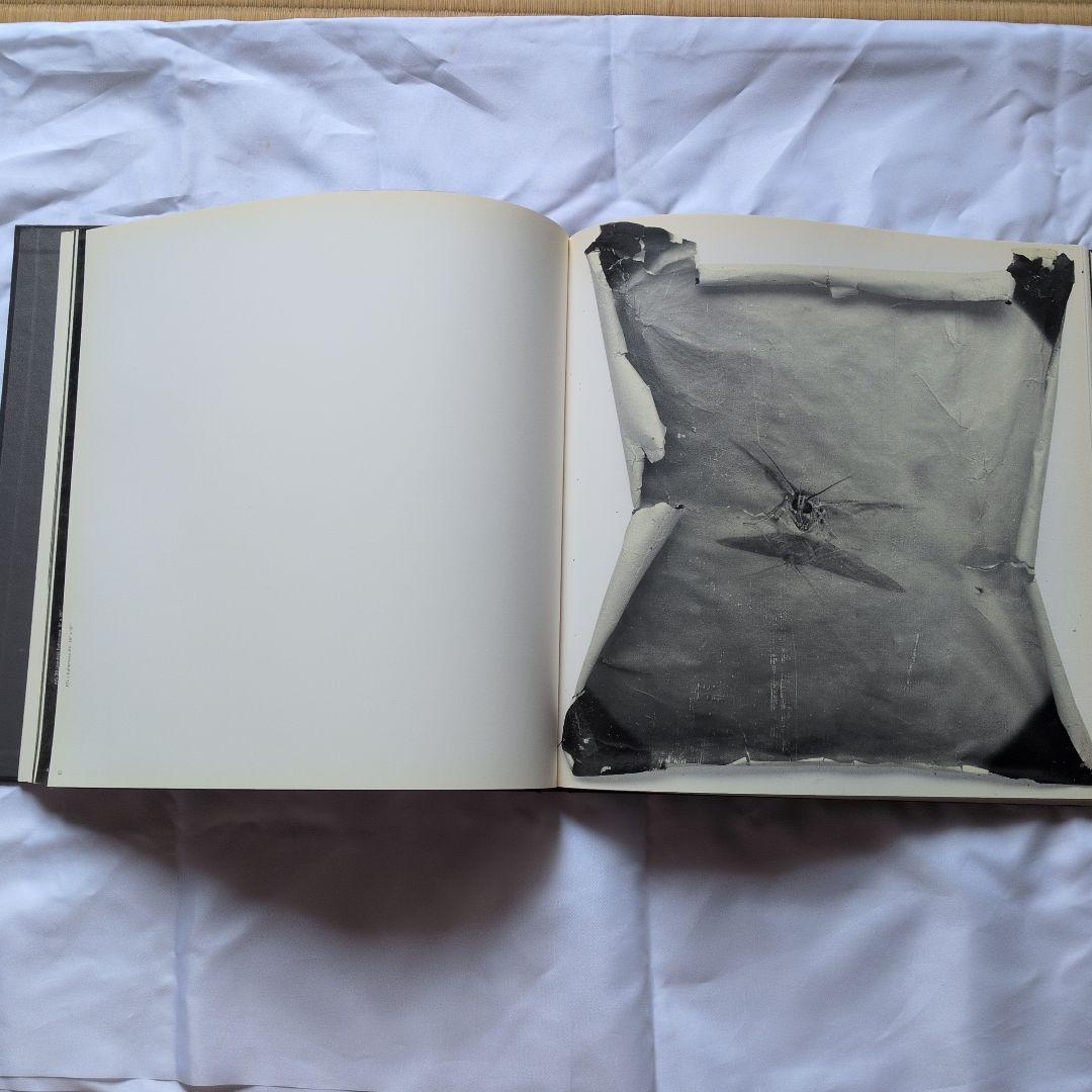 アート・デザイン・音楽 MIKE & DOUG STARN ATTRACTED TO LIGHT SET