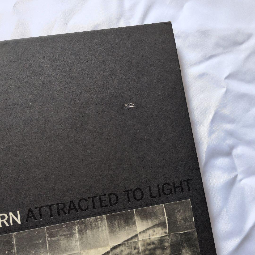 アート・デザイン・音楽 MIKE & DOUG STARN ATTRACTED TO LIGHT SET