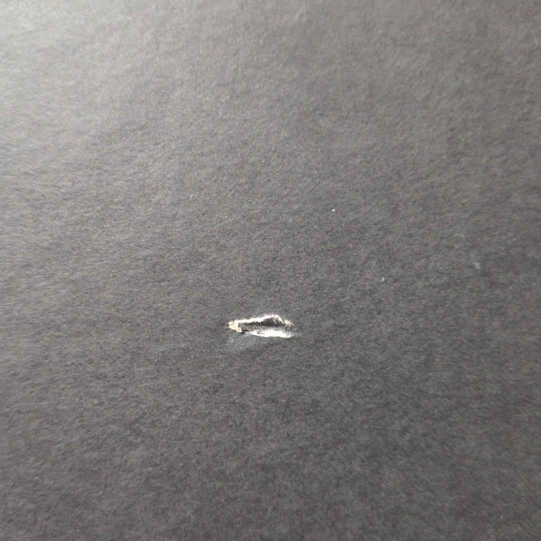 アート・デザイン・音楽 MIKE & DOUG STARN ATTRACTED TO LIGHT SET