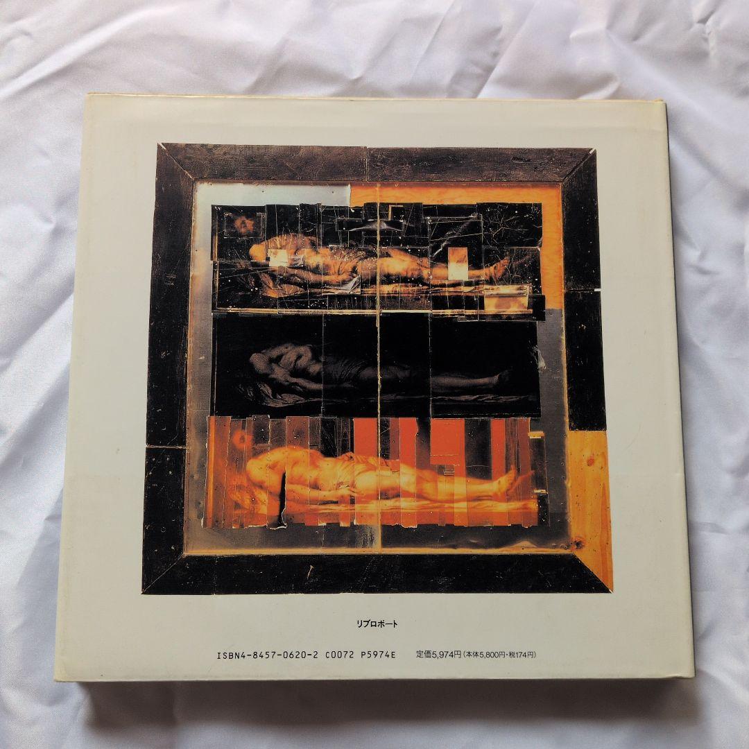 アート・デザイン・音楽 MIKE & DOUG STARN ATTRACTED TO LIGHT SET